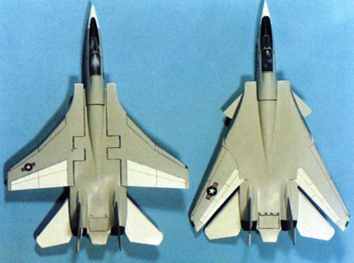 Grumman F-14 Tomcat